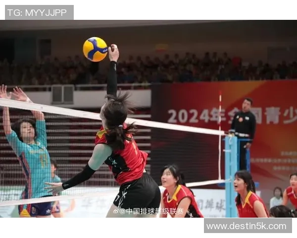 南京排球队在全国排球比赛经验排行榜中荣获第五名的辉煌成就