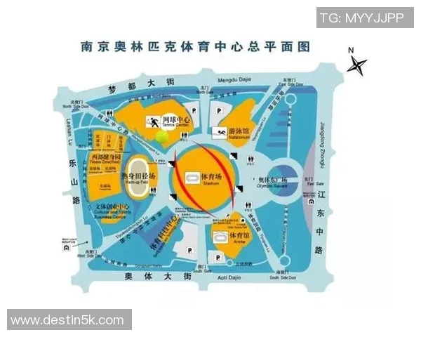 南京网球队在欧锦赛中的状态分析与表现评估