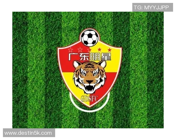 韩国足球明星卢的辉煌历程与未来展望解析