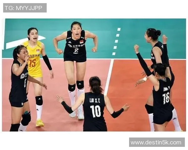 南京排球队的节奏揭秘与深度解析探讨排球运动的魅力与技巧